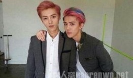 天涯爆料鹿晗吴世勋视频,幕后真相曝光