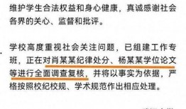 武汉大学最新事件爆料,揭秘校园风云突变背后的真相