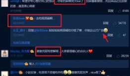 小黑粉爆料集合视频,揭秘娱乐圈幕后真相