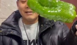 荷兰网红吃瓜事件视频,吃瓜事件引发网友热议